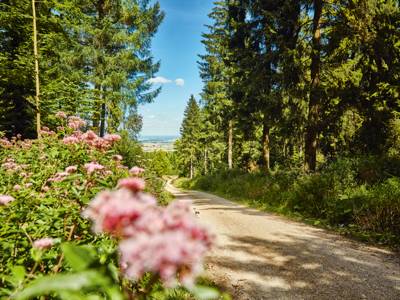 Der Deister in der Urlaubsregion Hannover