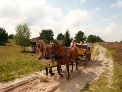 Kutsche L&uuml;neburger Heide