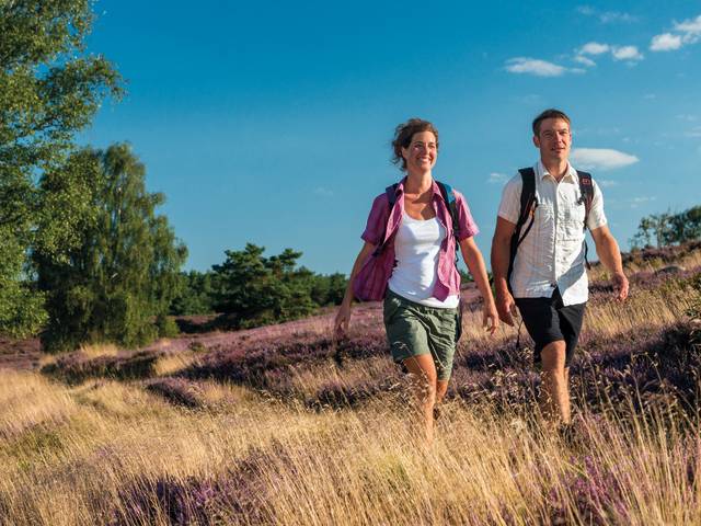 Wandern Lüneburger Heide 