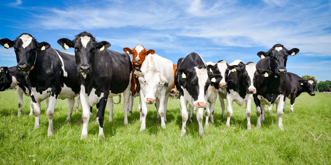 Landwirtschaft - Visit Niedersachsen