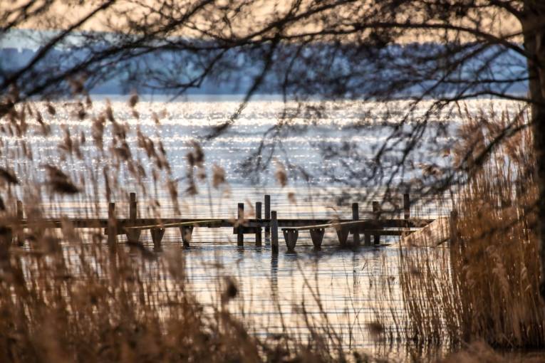 Steinhuder Meer