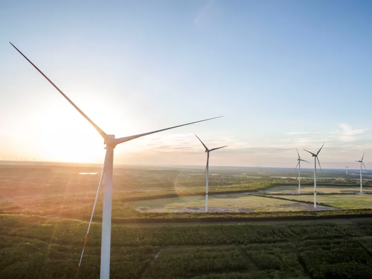 Teil des enercity-Windparks in Klettwitz.