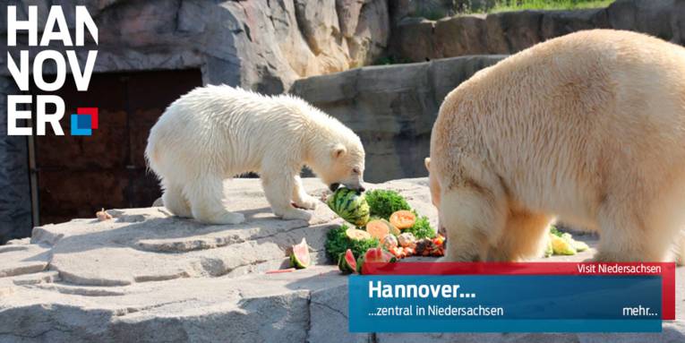 Hannover - zentrale Lage, Zoo Hannover