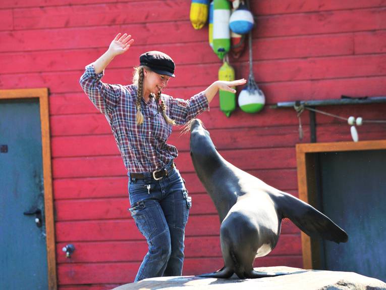 Pflegerin bei der Robbenshow im Yukon Bay im Erlebnis Zoo Hannover
