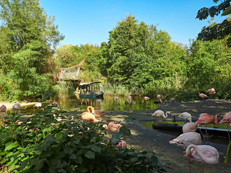 Hannover, Erlebnis-Zoo